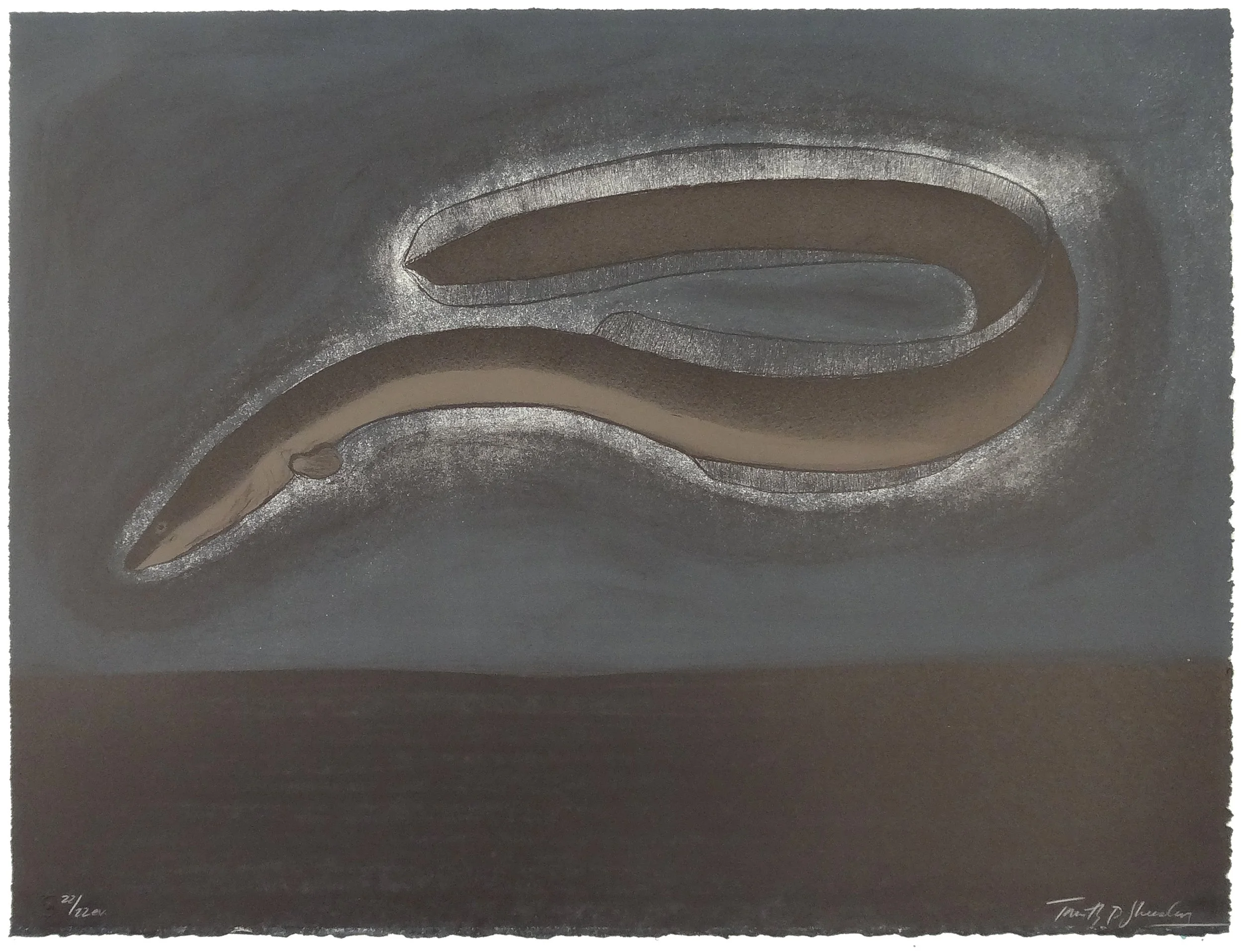 22.T.Sheesley, %22Sargasso Eel%22 22-22e.v.,lithograph,2024, 18%22x24%22.jpg