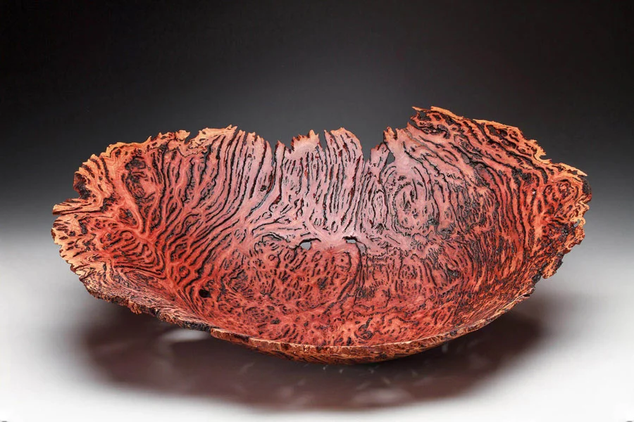 salmon gum eucalyptus burl