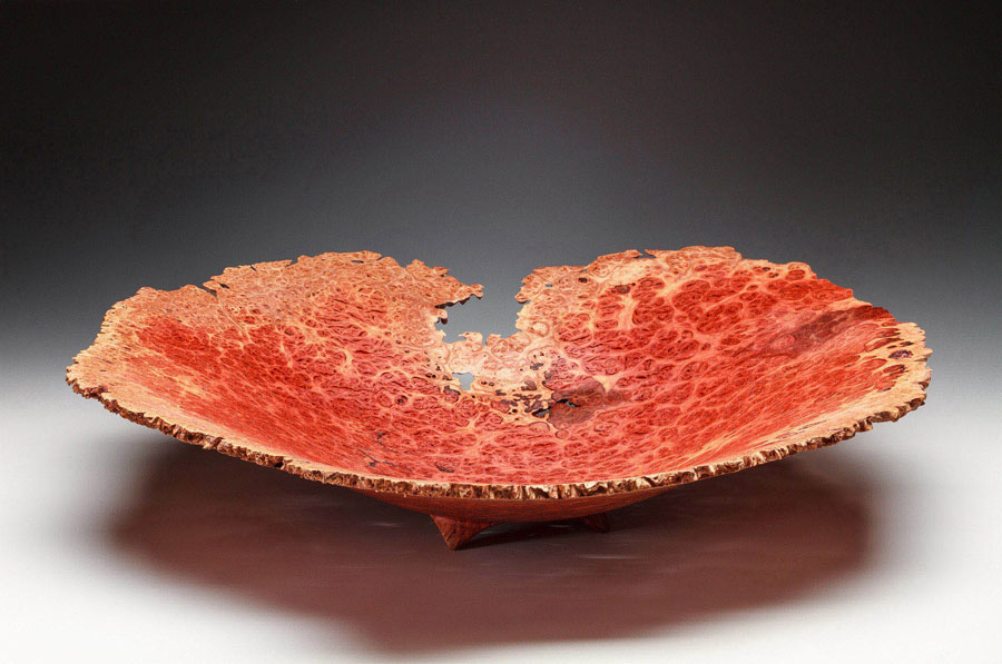 red mallee eucalyptus burl