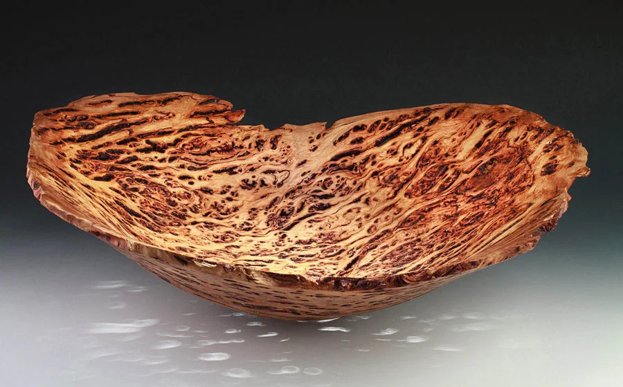white top eucalyptus burl
