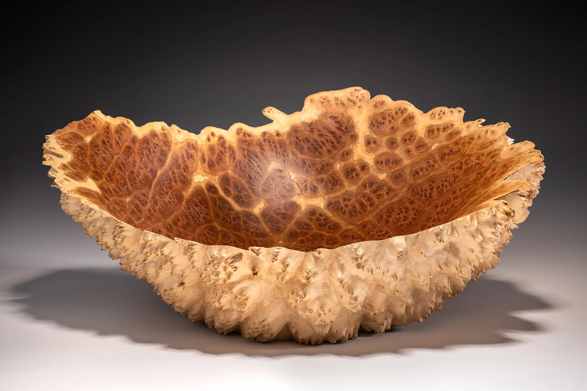 woodline mallee eucalyptus burl