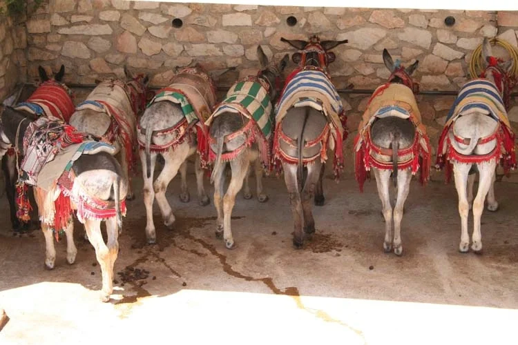 Don't Watch Your Behind, Keep Your Standards in Line