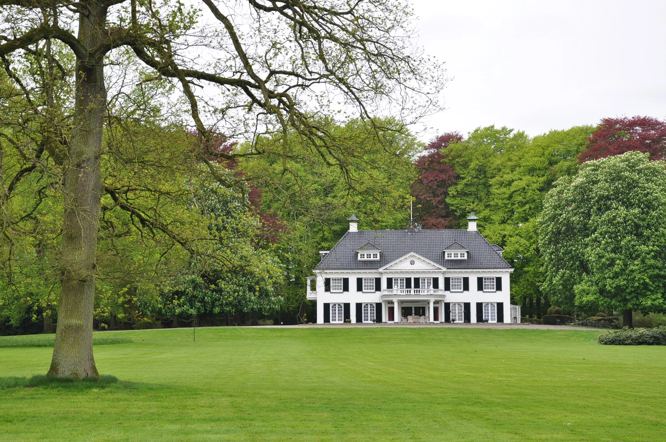 Accredited Buyers Representative