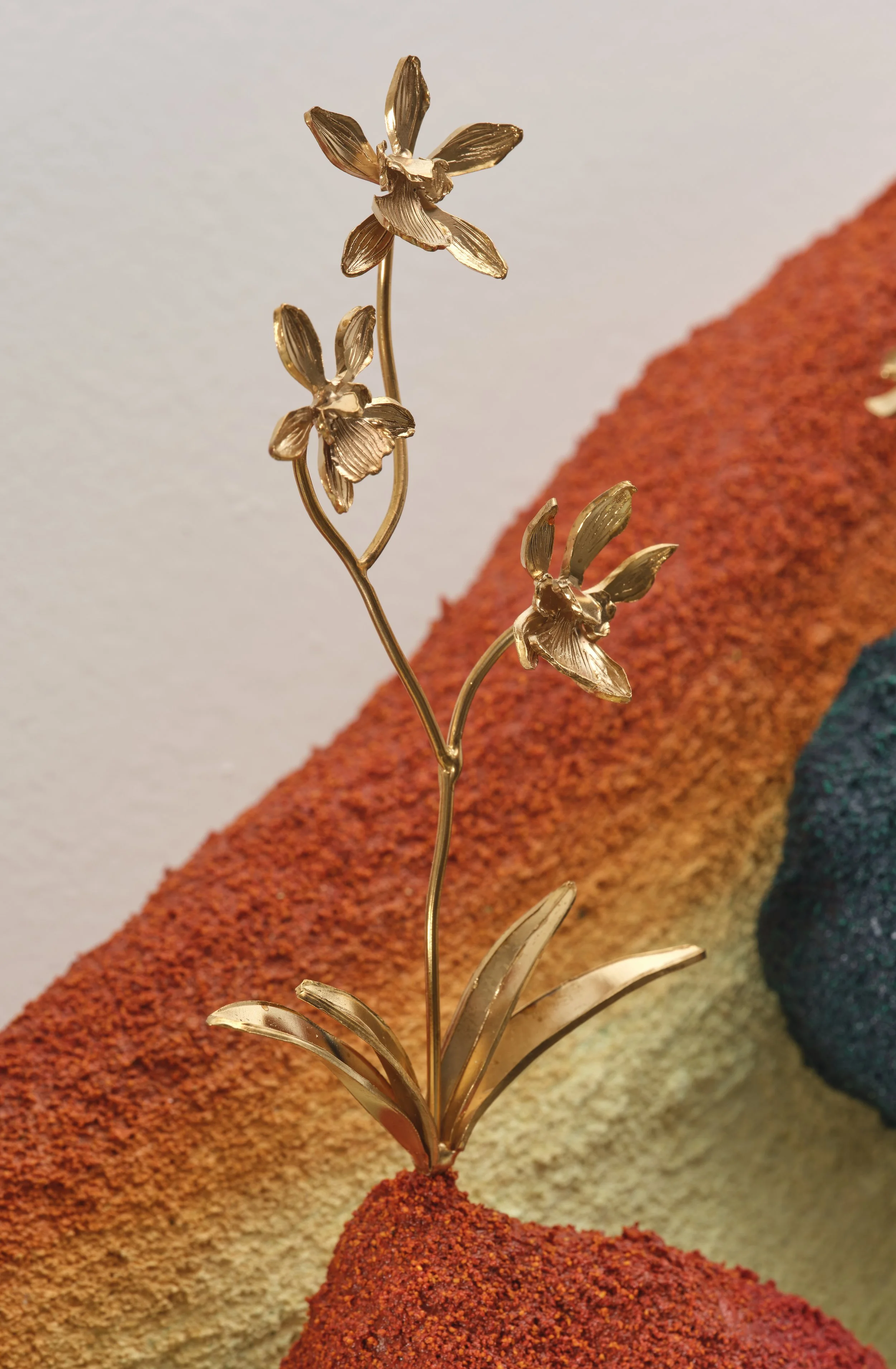 SMALL RC detail 3.jpg