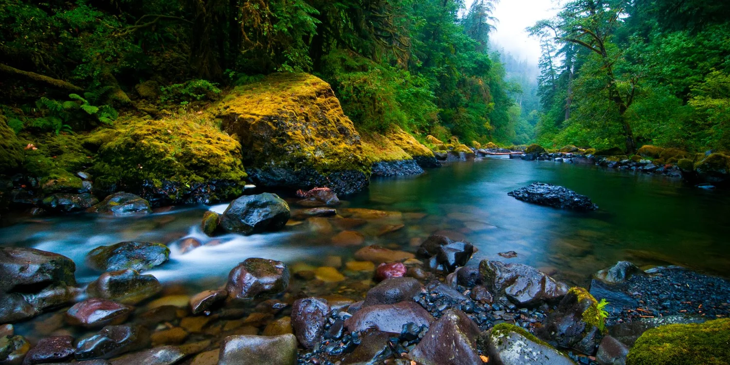 Manifest Photo Design