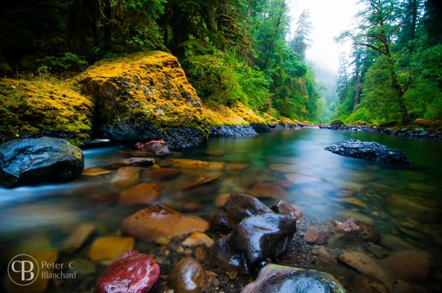 Waterscapes