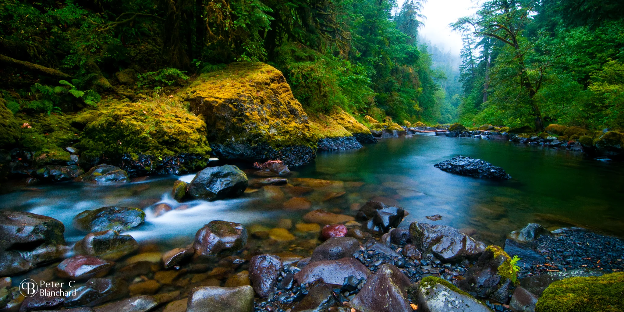 Eagle Creek, in the Columbia River Gorge. This is where the fire started when two young men threw fireworks over a cliff.