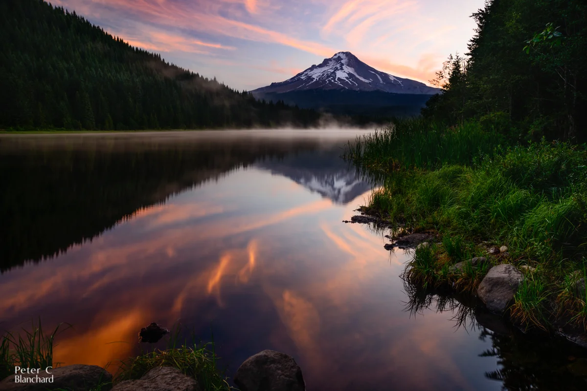 In the Quiet of Morning.jpg