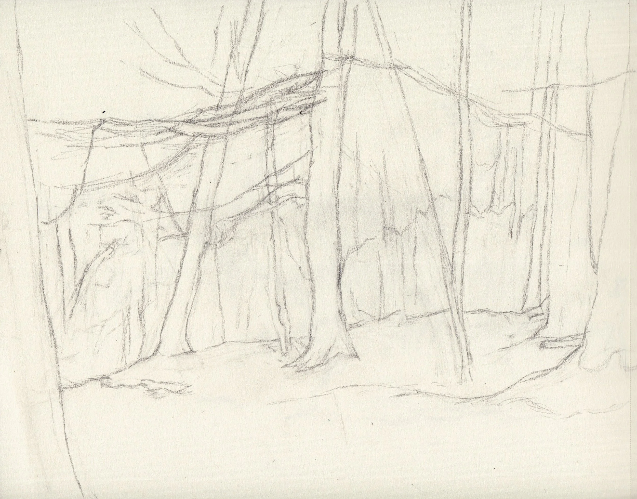 Flowing between trees, Pencil on paper, 8x10 inches, 2024.jpeg