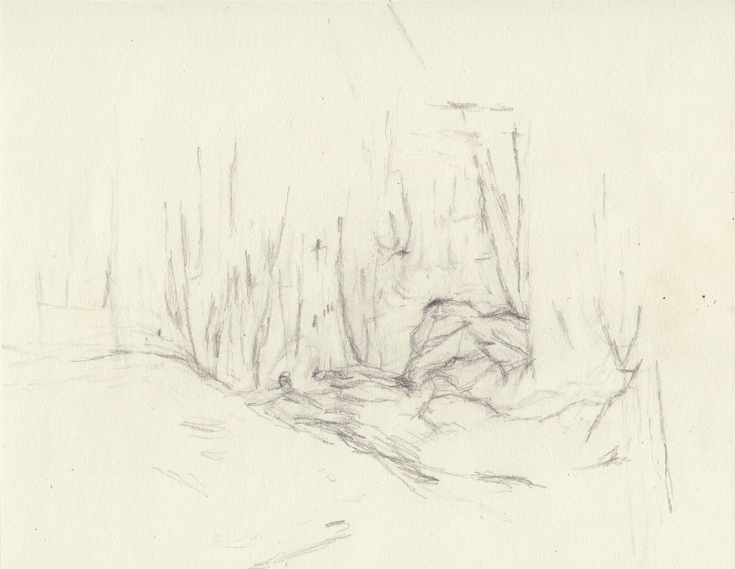   Amorphic Trunk,  Pencil on Paper, 10x8 inches, 2023 