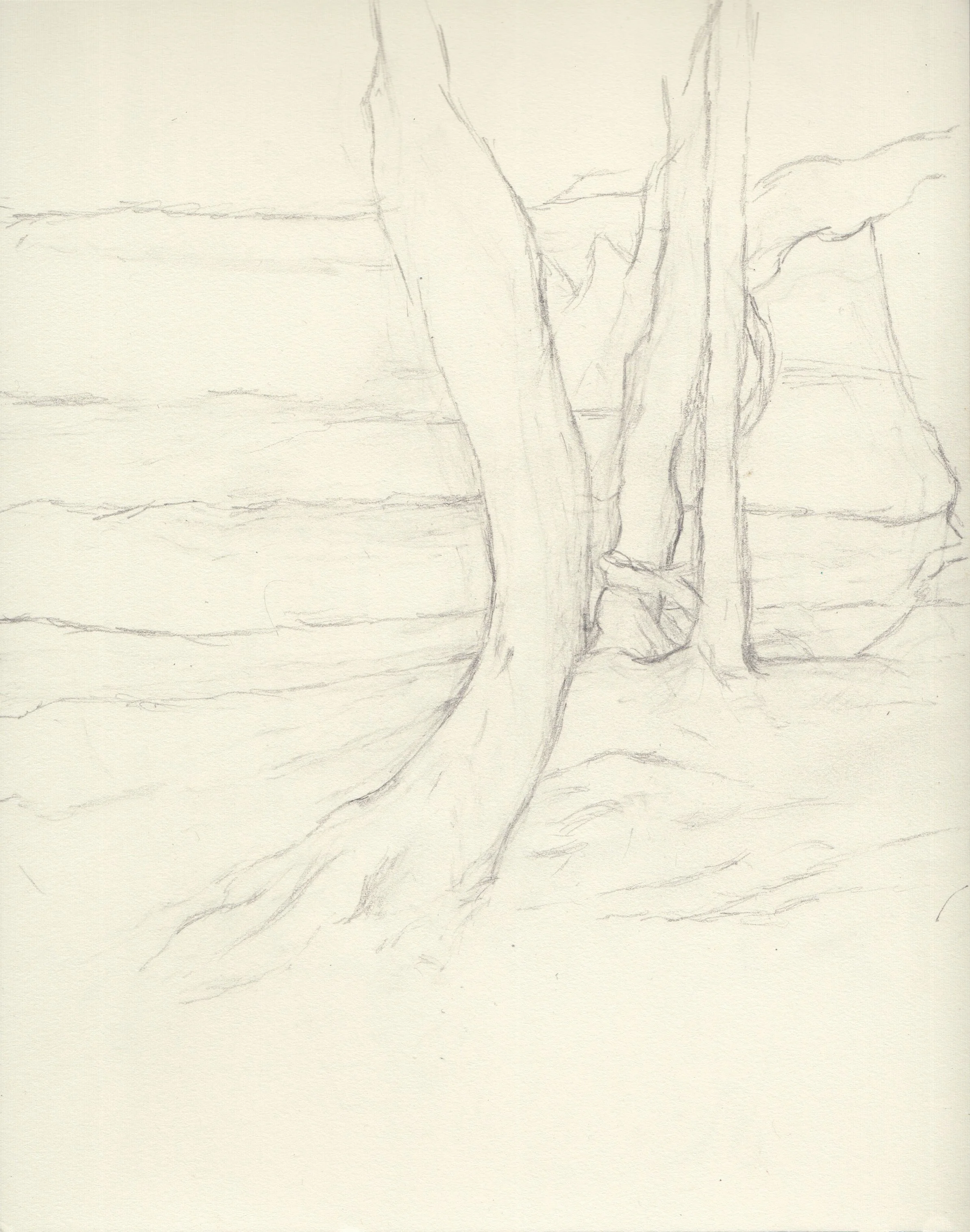 Bending, Pencil on paper, 10x8 inches, 2024.jpeg