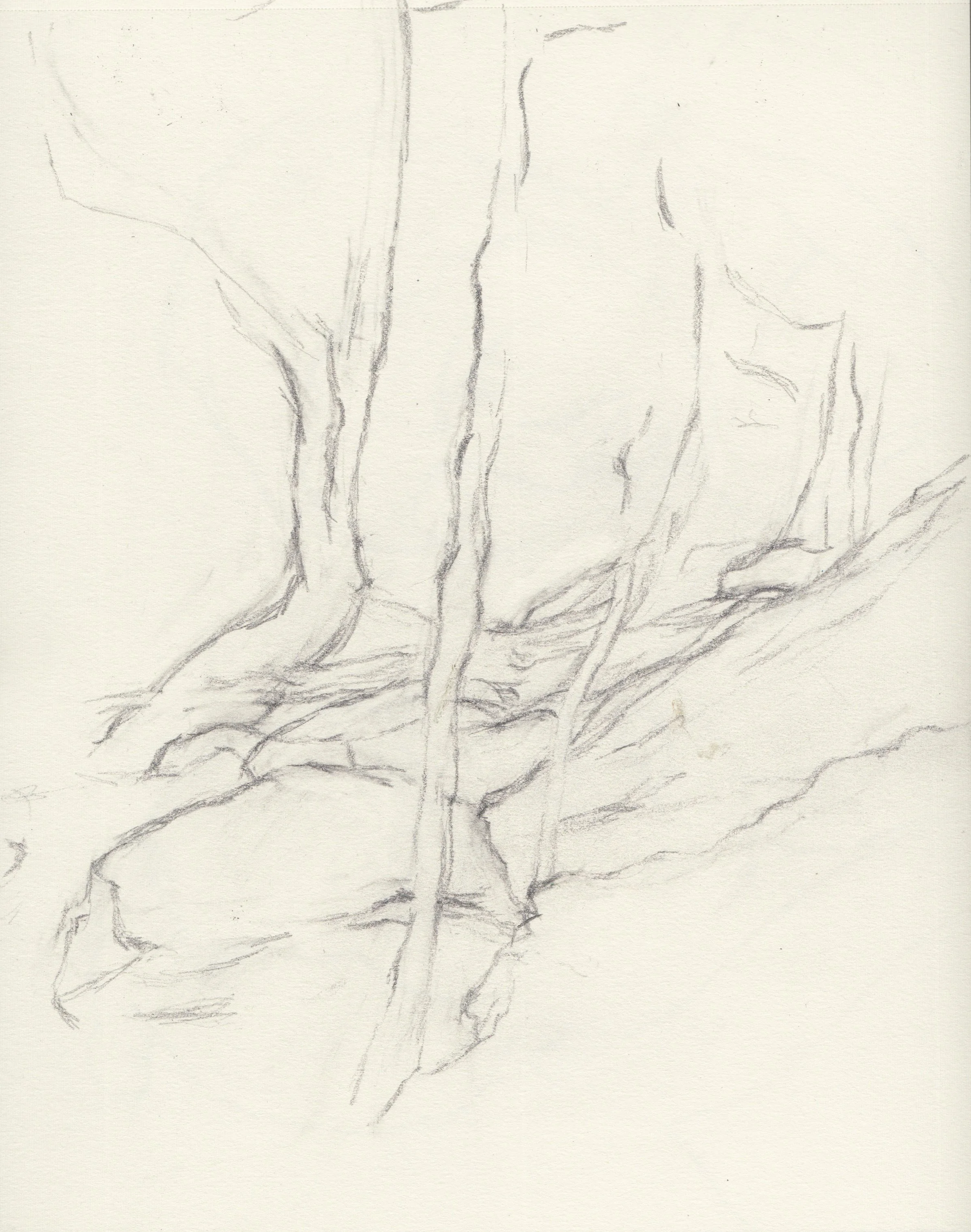 Circular View, Pencil on paper, 10x8 inches, 2024.jpeg