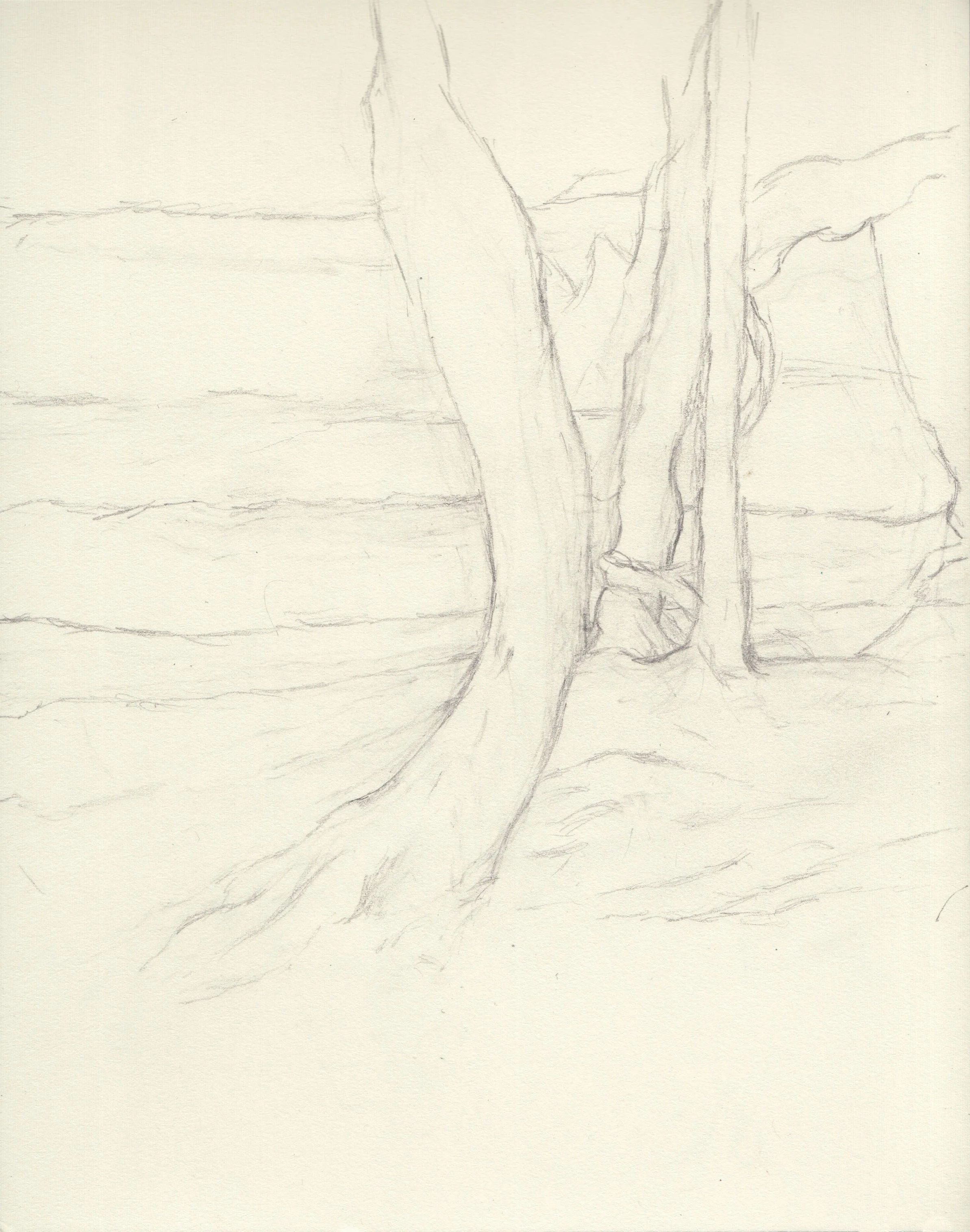 Bending, Pencil on paper, 10x8 inches, 2024.jpeg