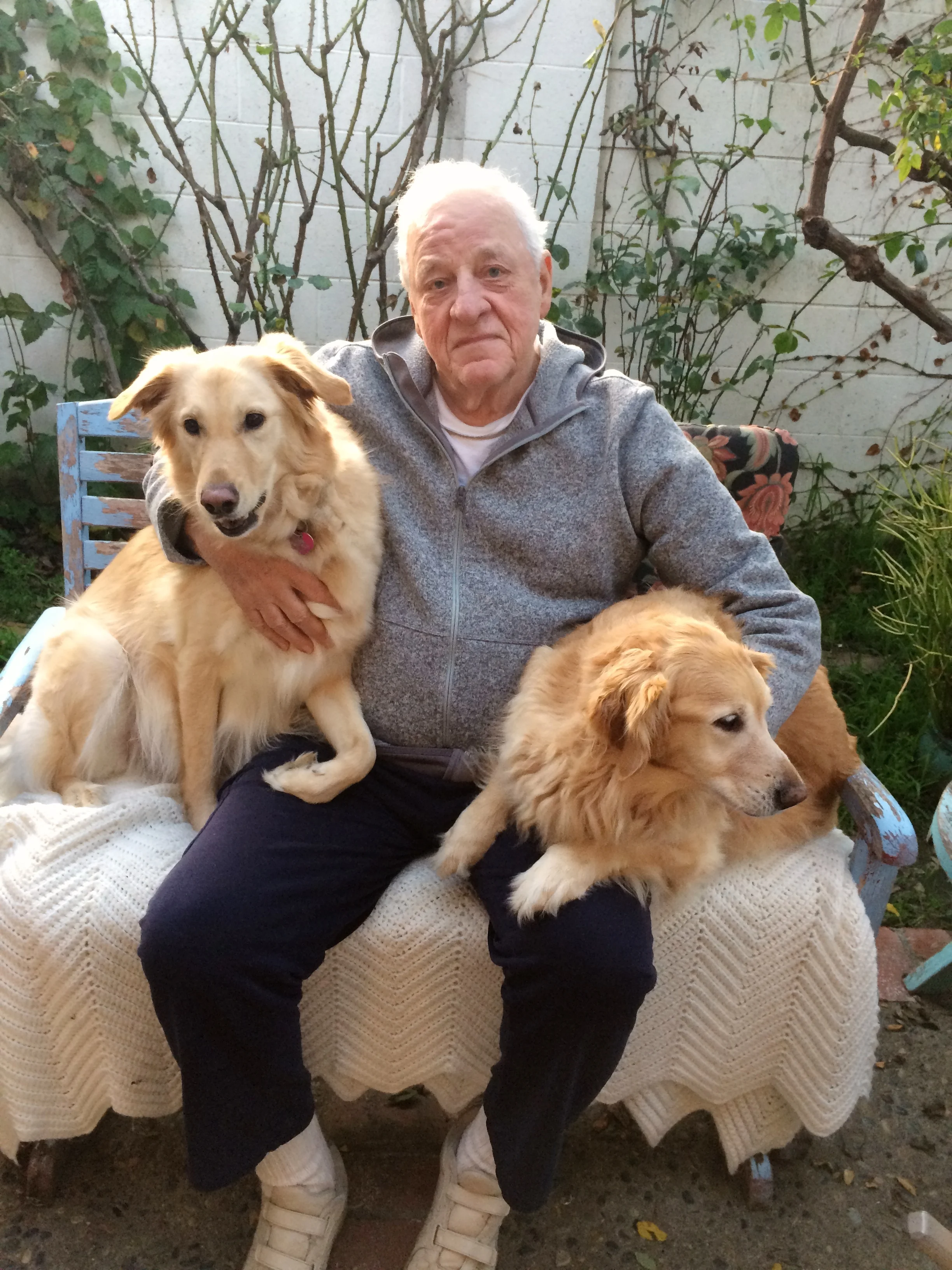 Here are three happy subscribers to Dog TV, With Heidi, left; Gypsy, right; I’m in the middle. (We are real dogs and people, not paid actors.)