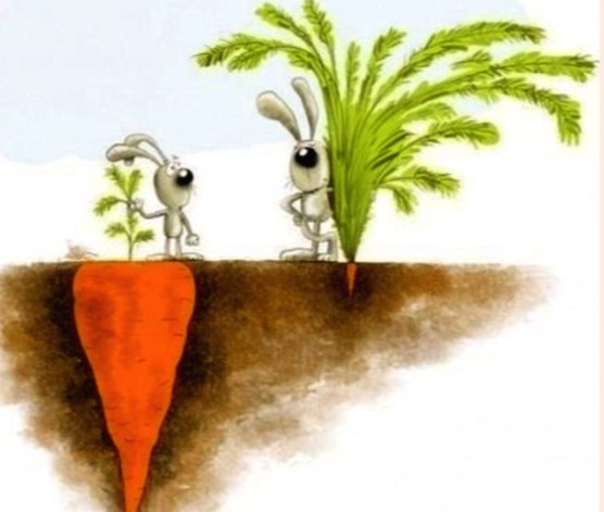 We all have different ideas and strategies on how to make the sport grow.