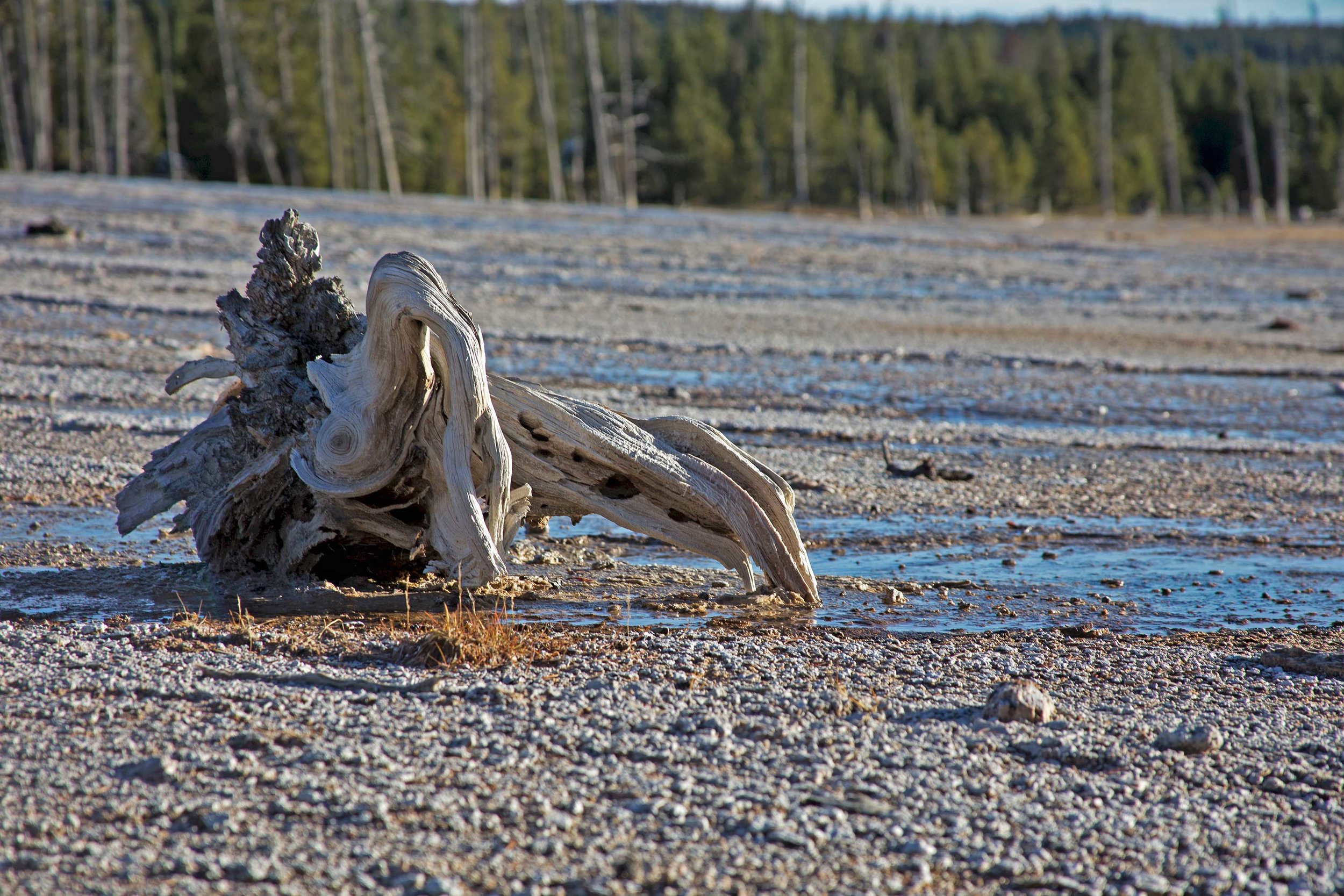 yellowstone-28.jpg