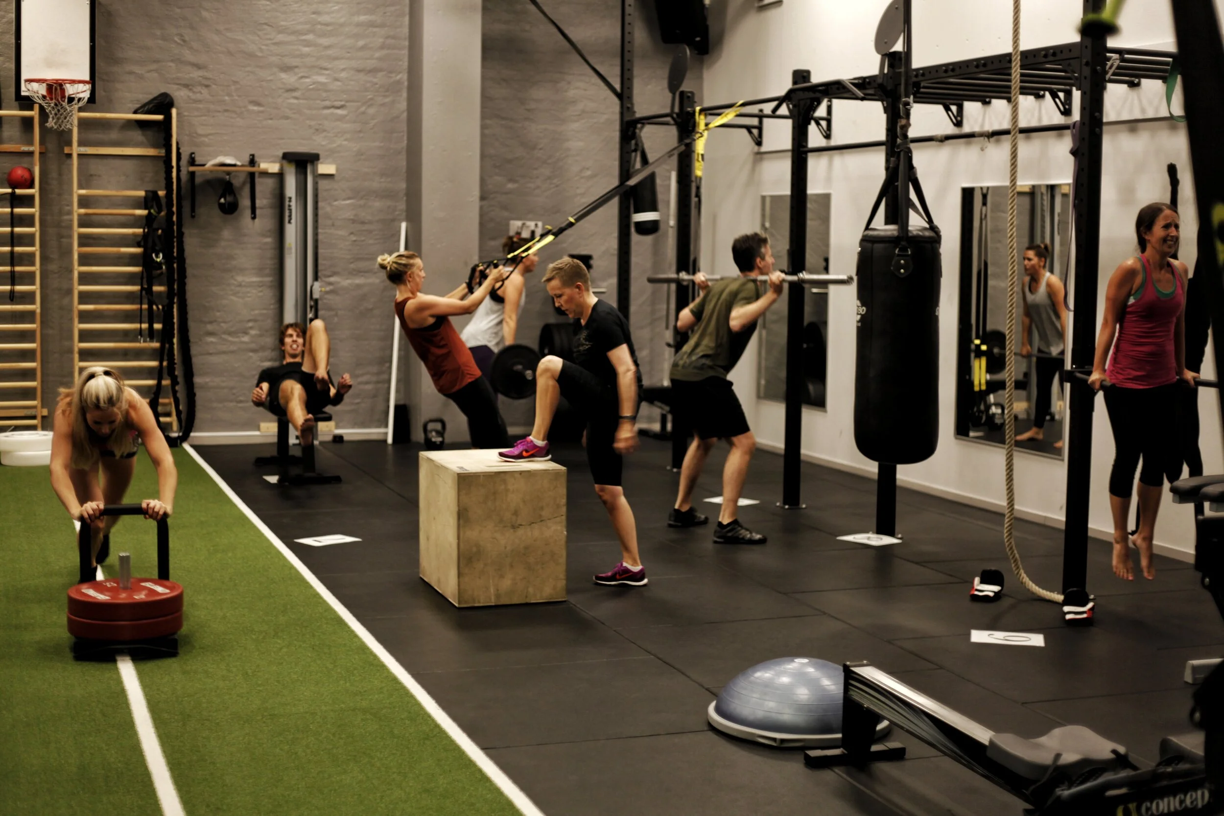 gymt.jpeg