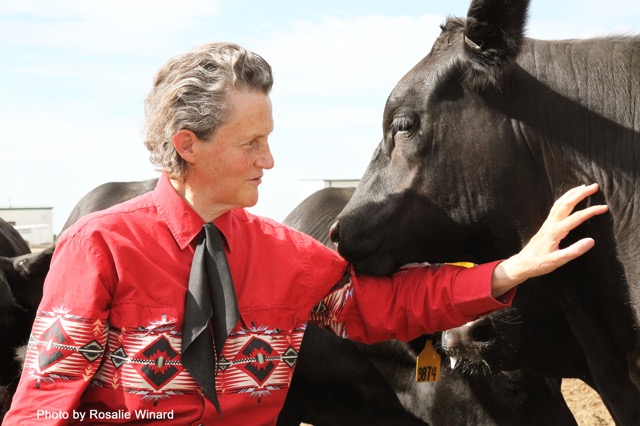 Dr. Temple Grandin // Photo by Rosalie Winard