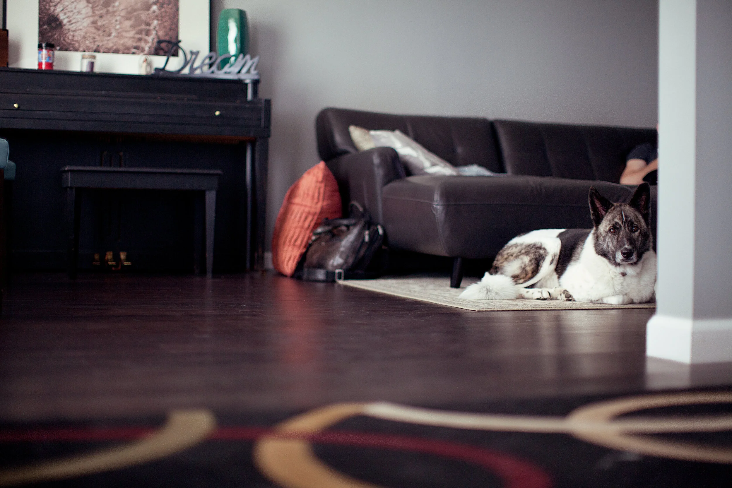 Home Insurance for where you and those you love live.  (Copy)
