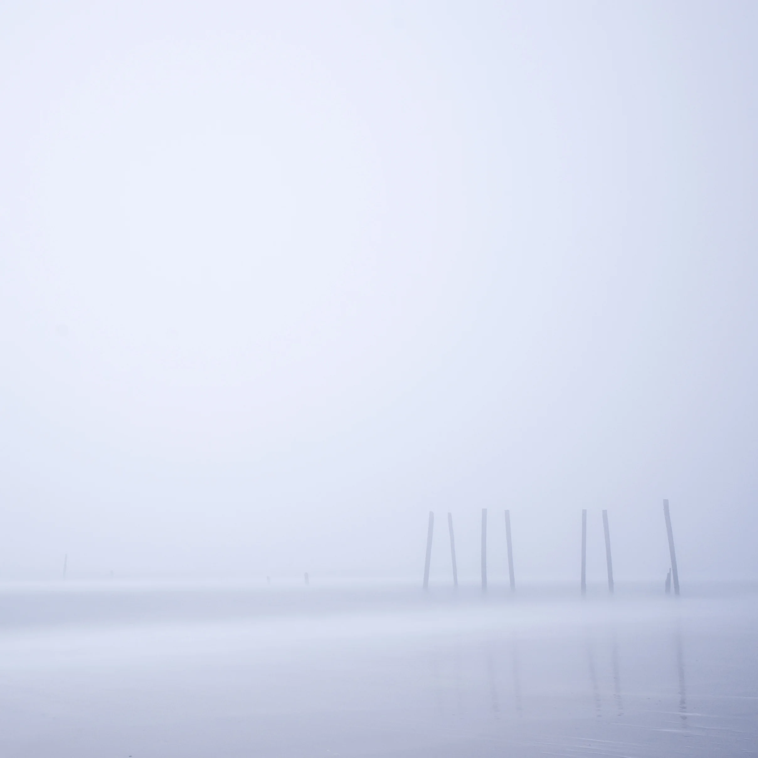 2015.Landscape.022.jpg