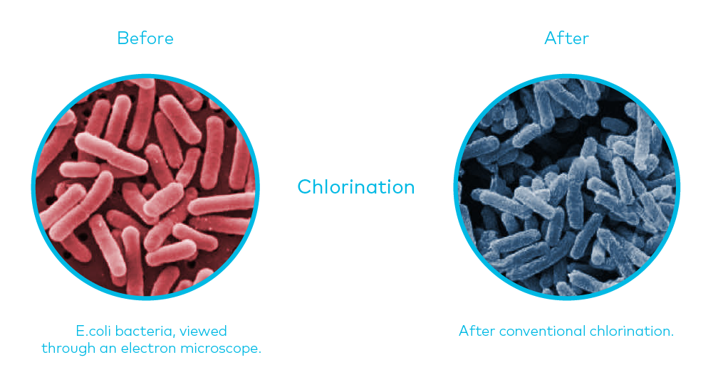 ewater_microscope_chlorination.png