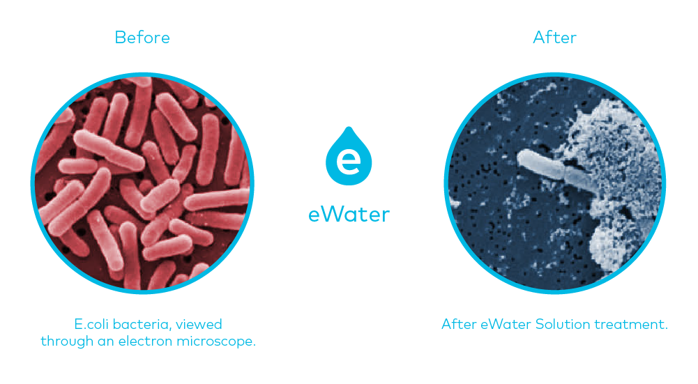 ewater_microscope_ewater.png