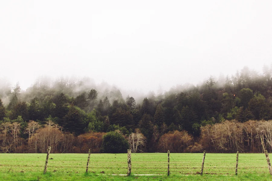 SlowCoastBday-051.jpg