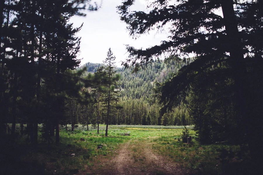 Sawtooths-051.jpg