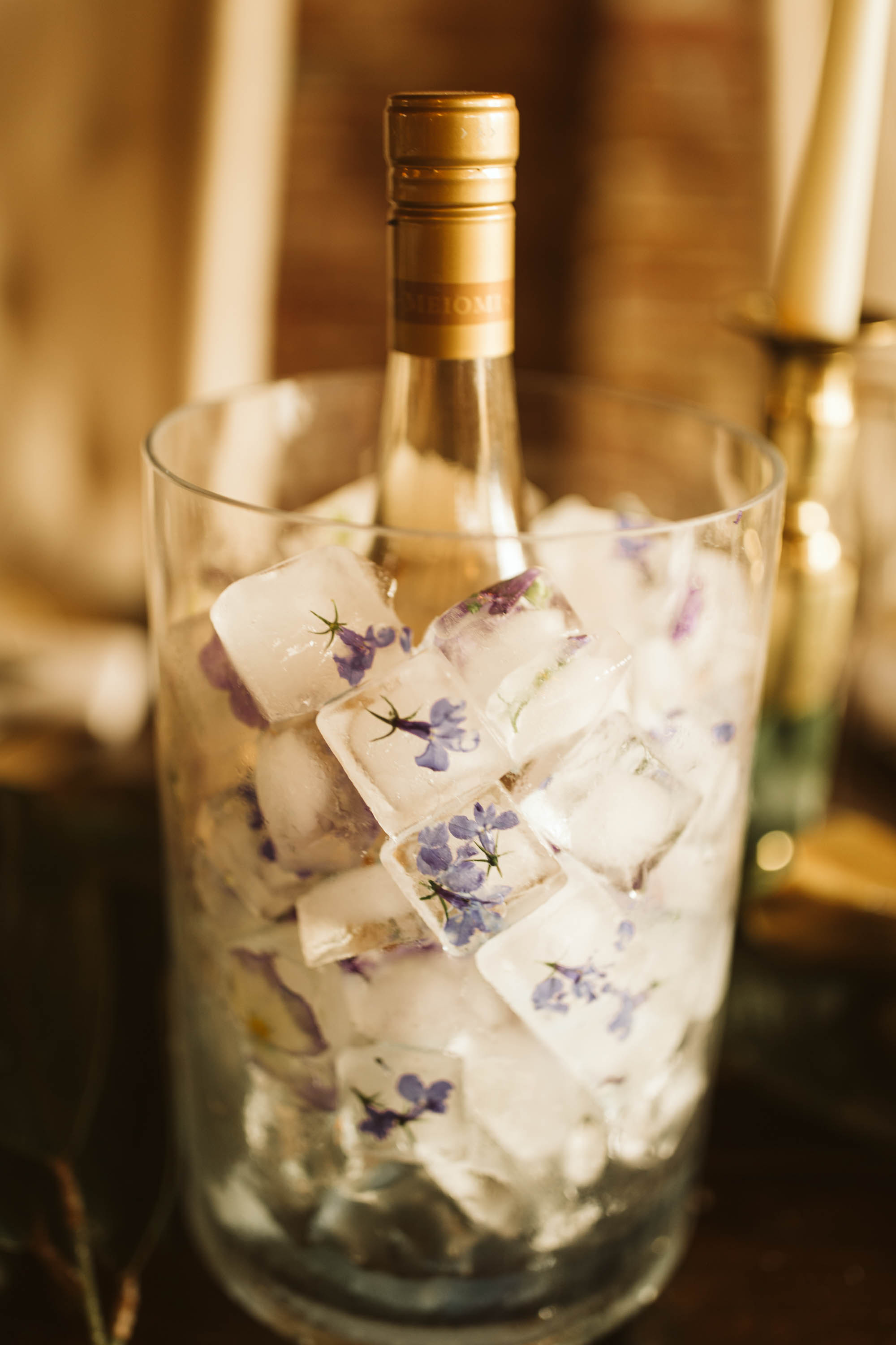 Lauren and Mike Reception-13.jpg