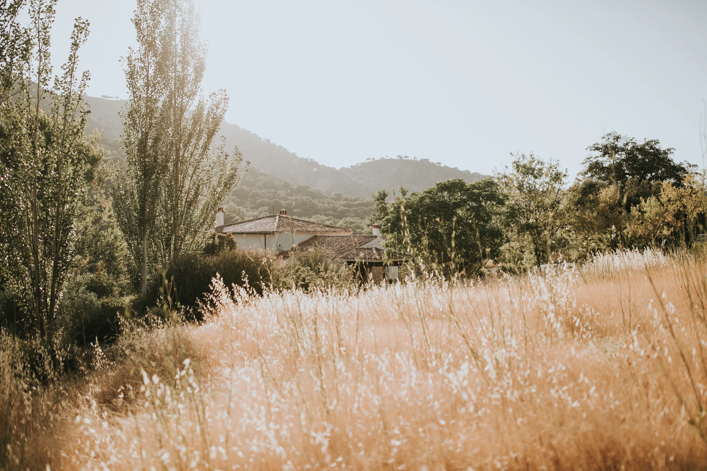 Andrew_Ferrah_Ceremony_Spain_Ronda_Bohemian_Wedding-51.jpg