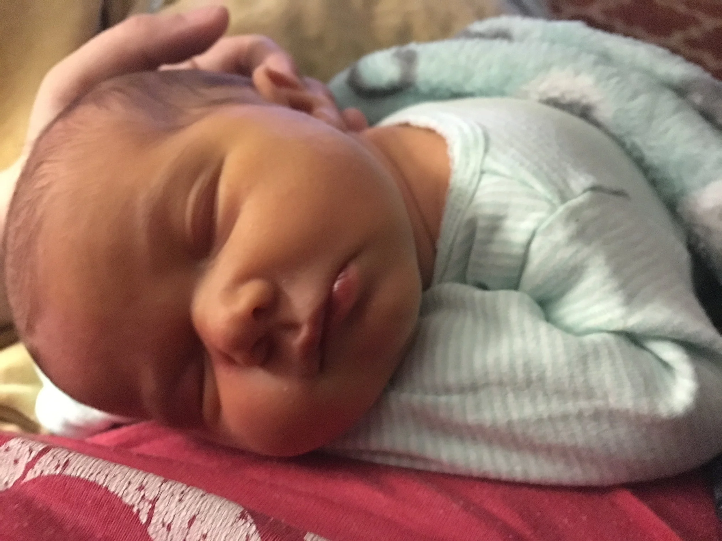 Introducing: The Newest Blackfriars Baby!