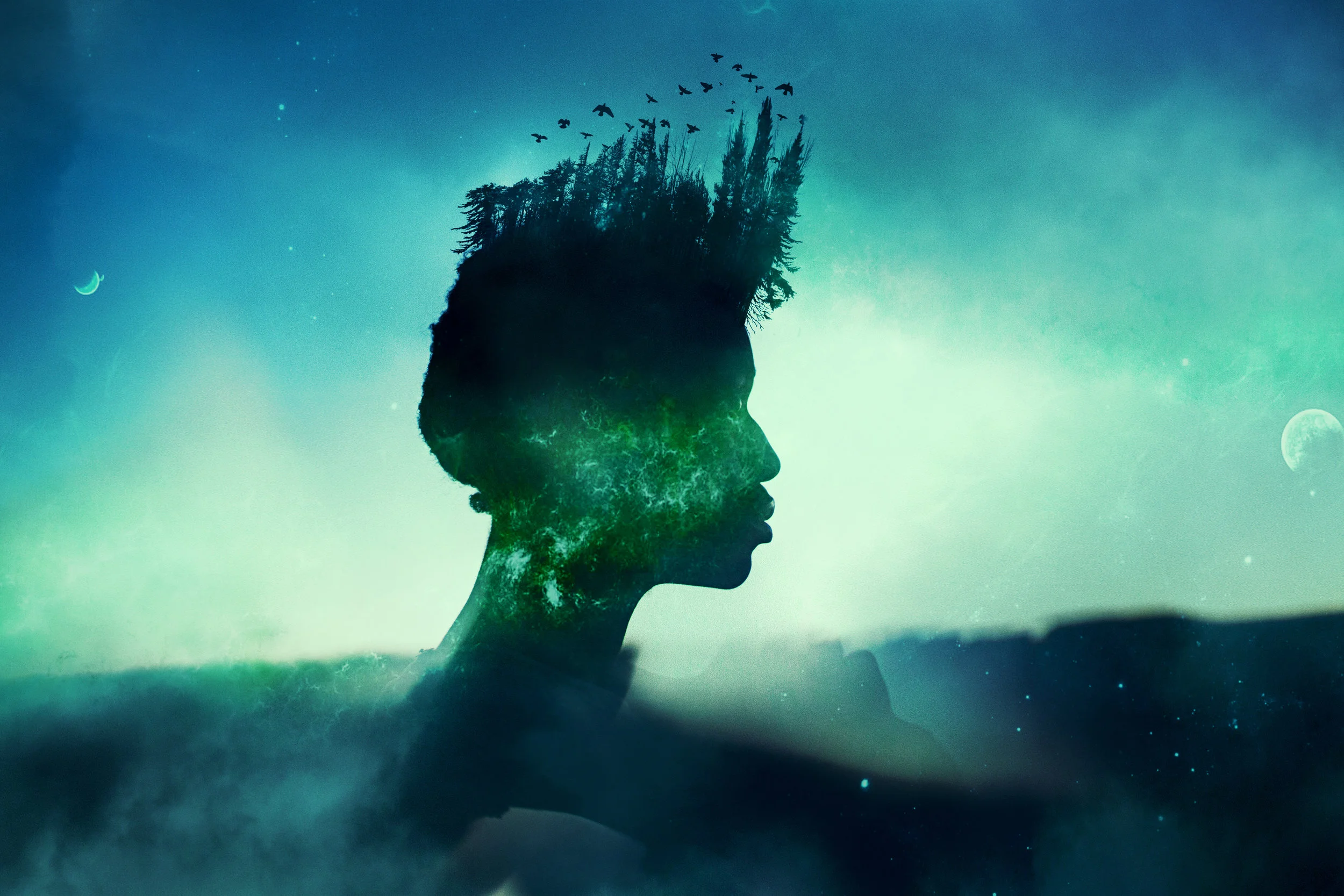 Crowned by Nature_chrisrivera_final.jpg