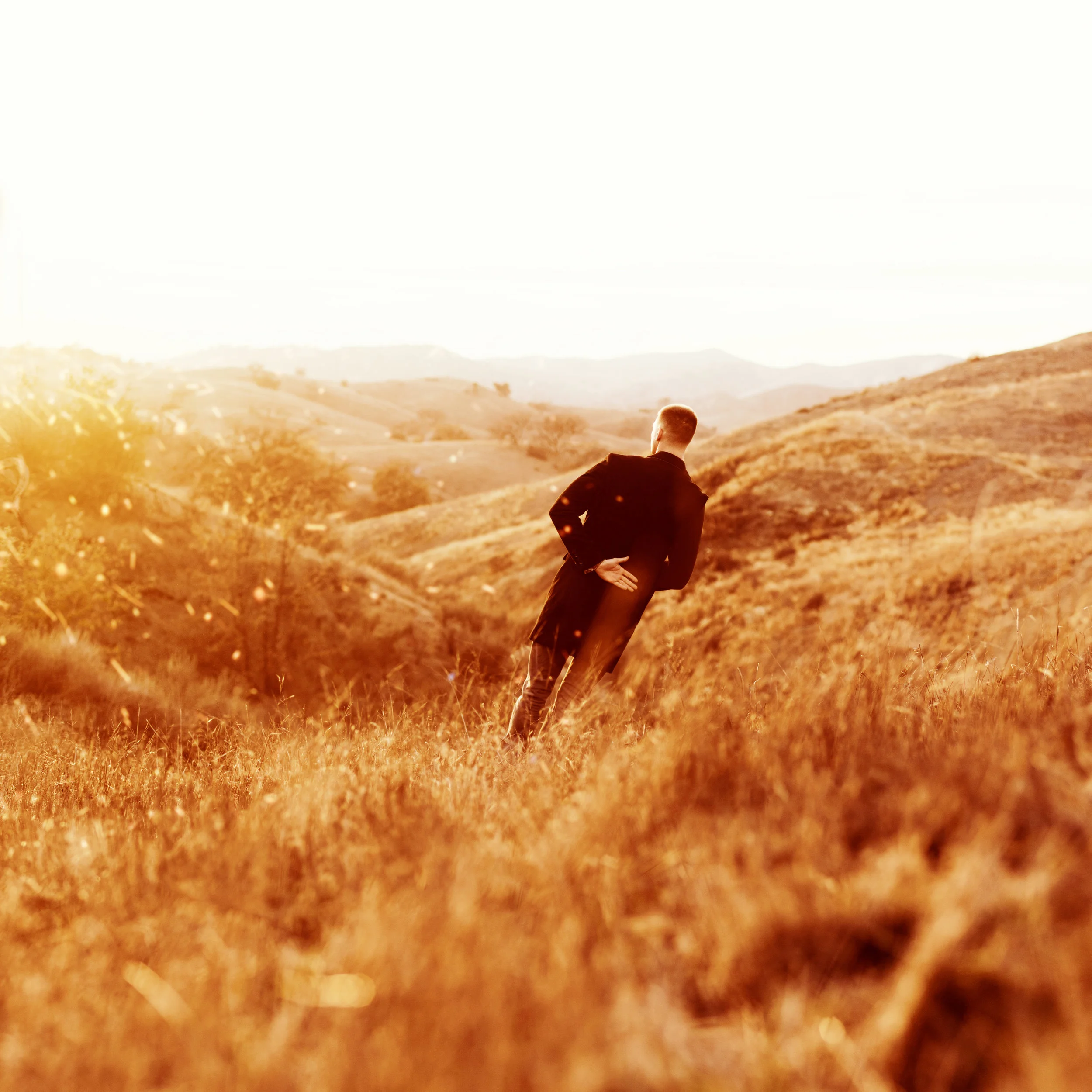 Sunset Spectator_chrisrivera.jpg