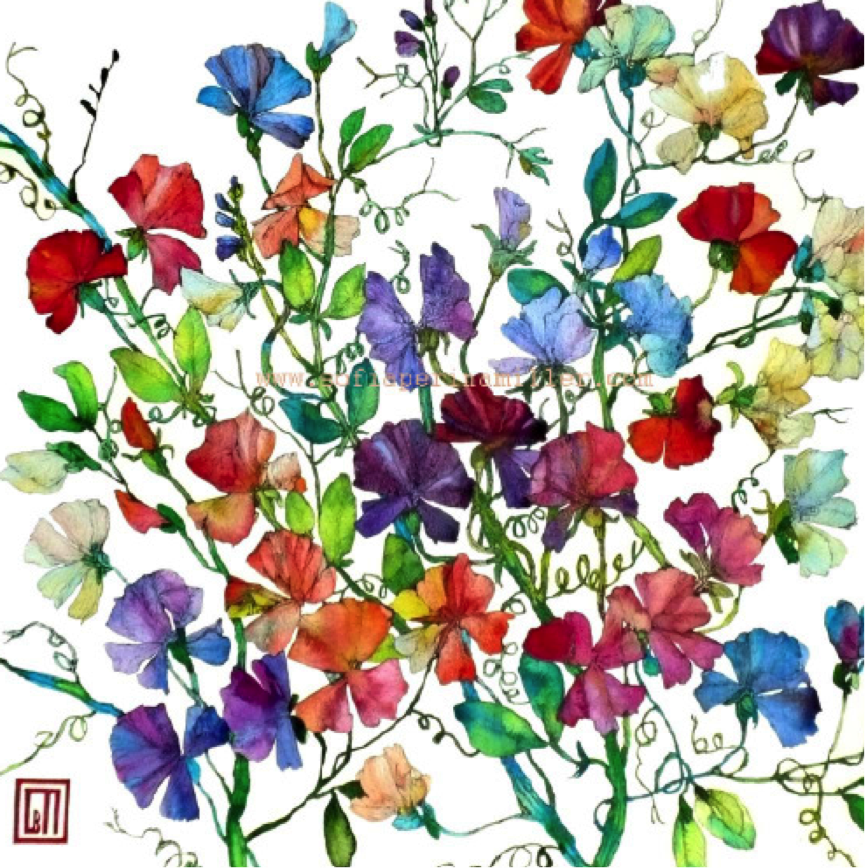 SCA's 30th Birthday celebrations