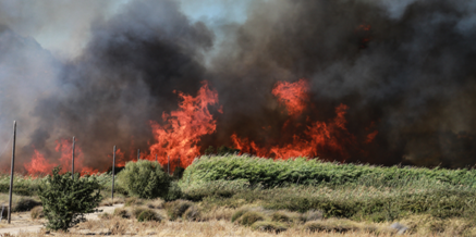 sardinian fires1.jpg