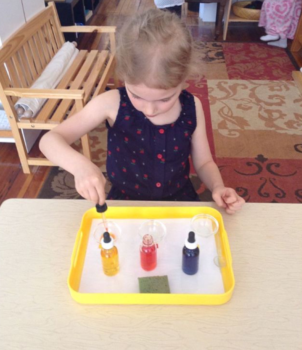 image11.jpeg