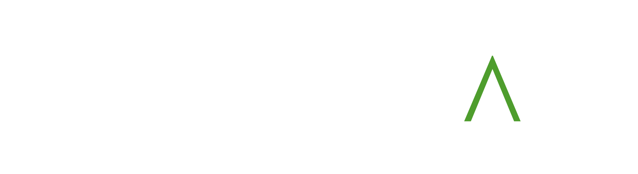 Accelitas+Logo_RGB_white_RGB.png