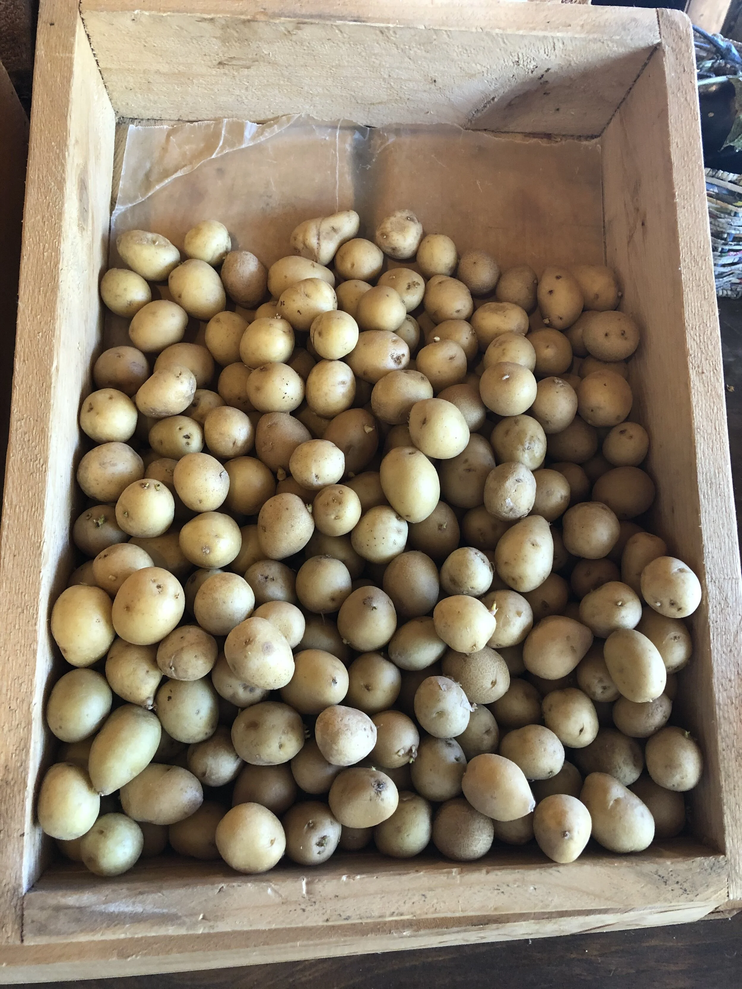White New Potatoes
