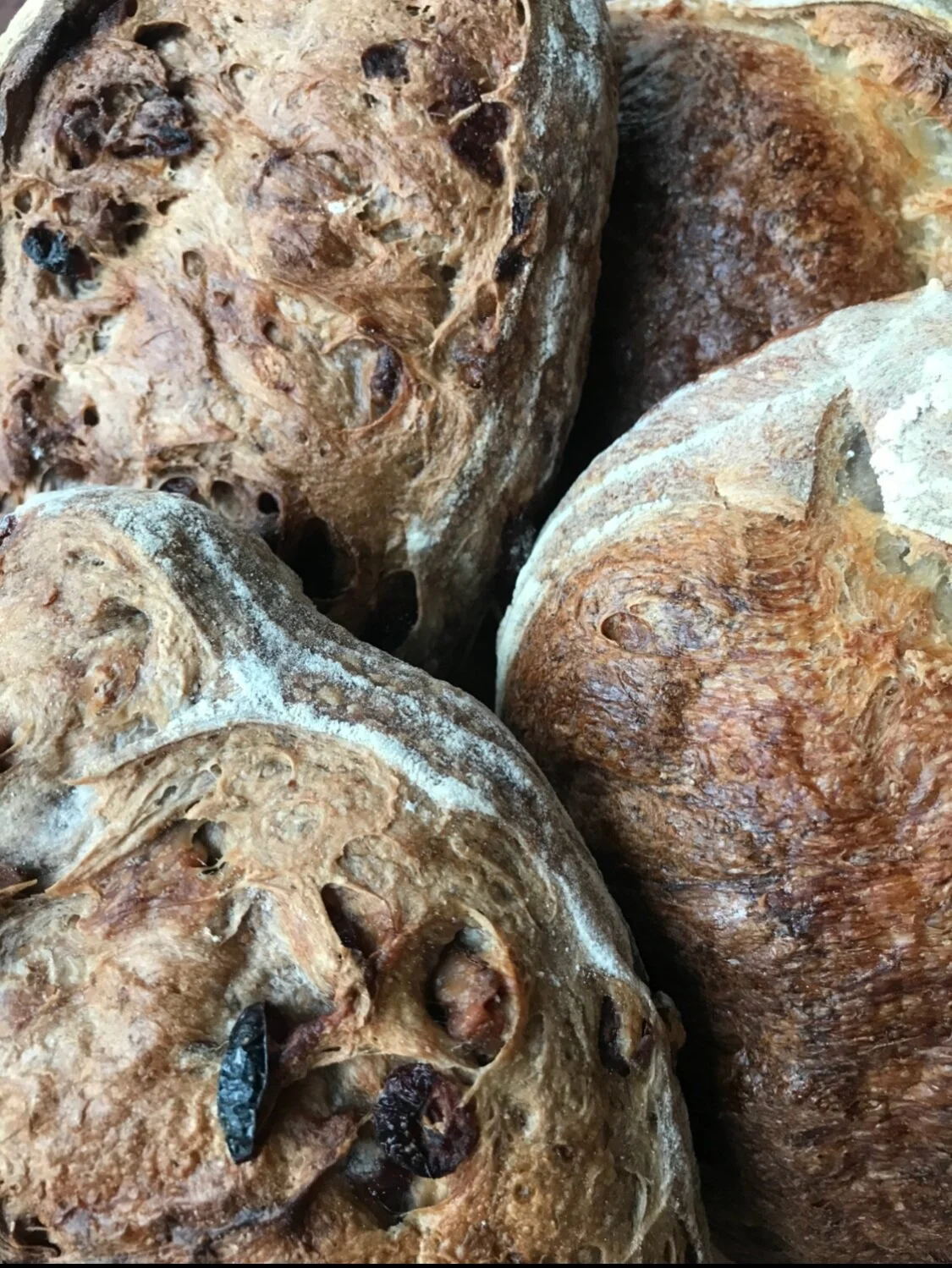 Assorted Local breads from MKT eatery and breadheads