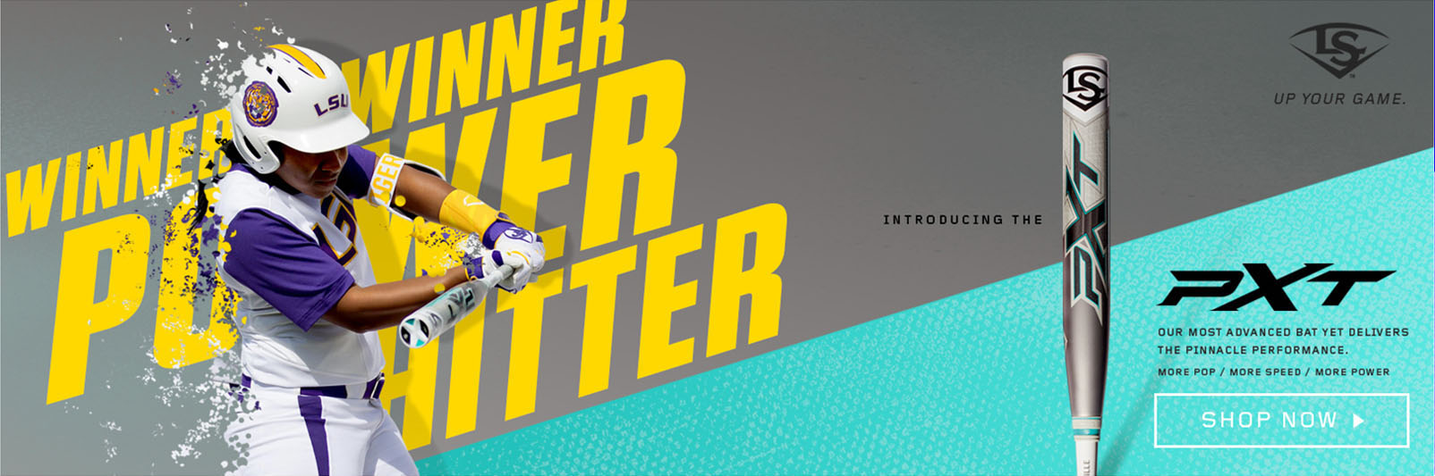 Banners_PXT copy.jpg