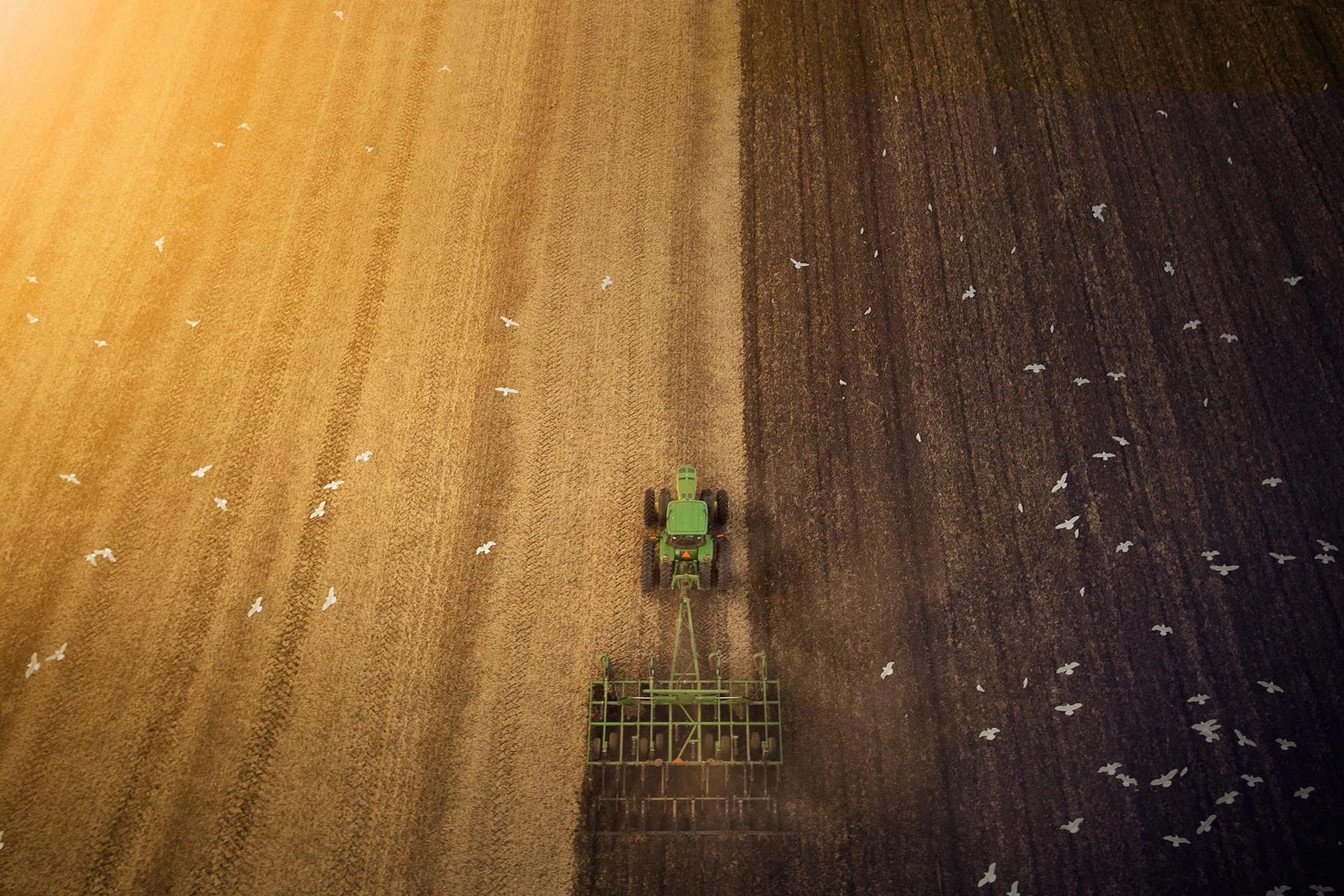 jd6.jpg