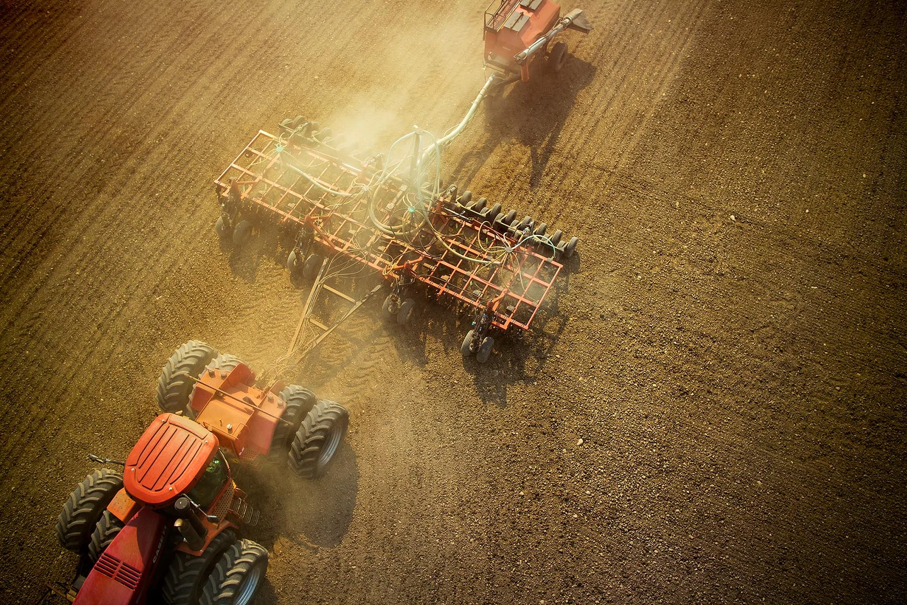 caseseed1.jpg