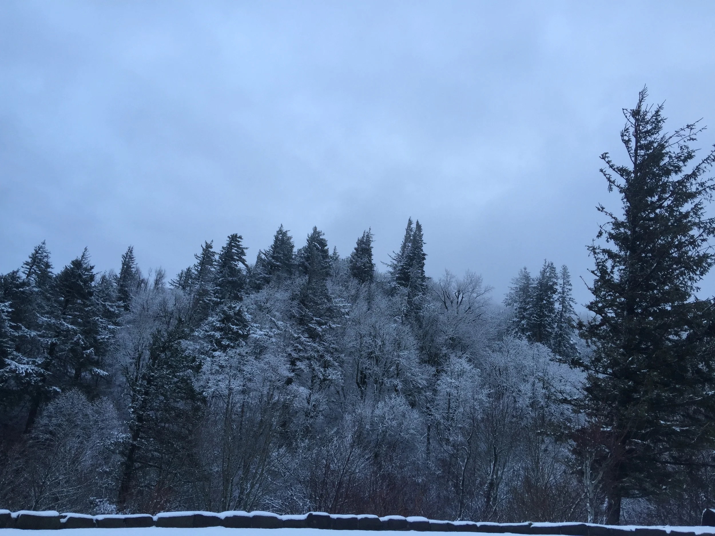 Portland! A place for adventure.