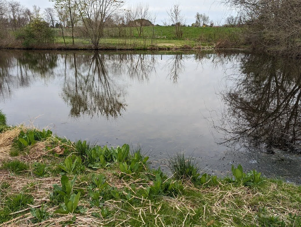 Dog Playground — Sunny Knoll EcoFarm