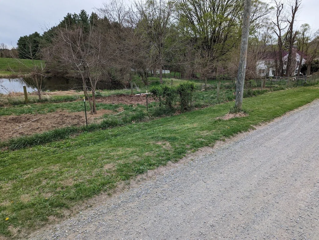 Dog Playground — Sunny Knoll EcoFarm