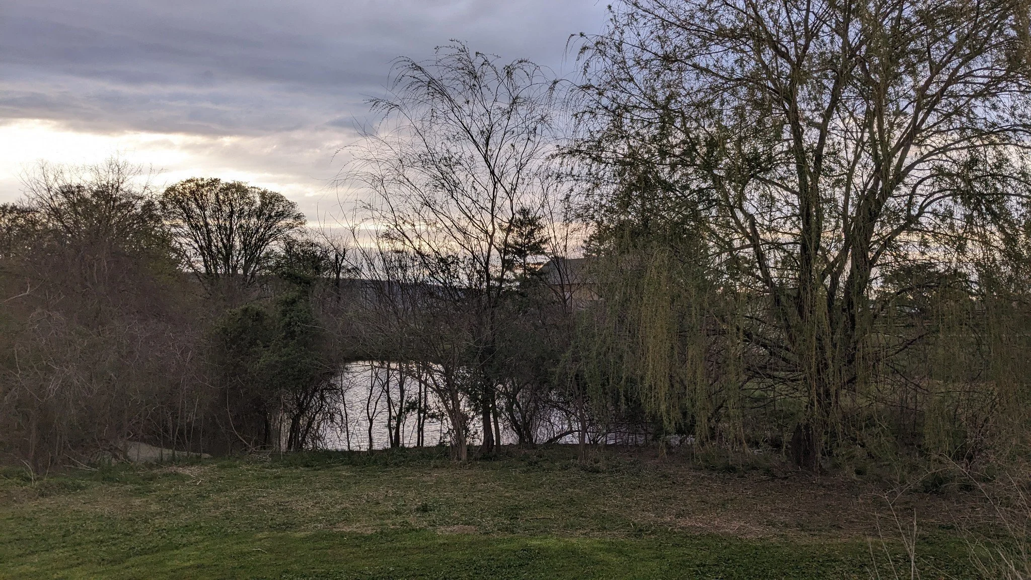 Dog Playground — Sunny Knoll EcoFarm