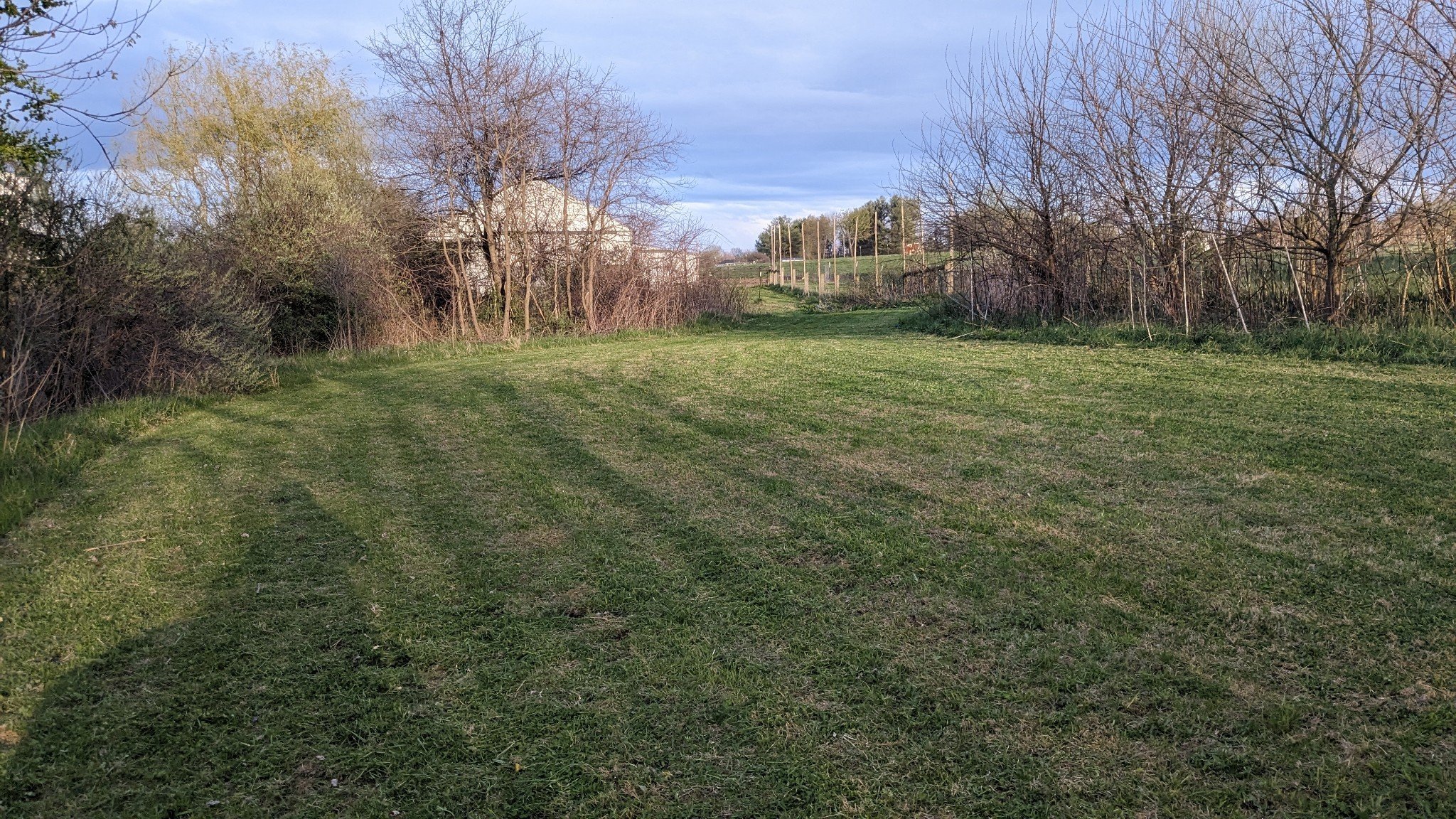 Dog Playground — Sunny Knoll EcoFarm
