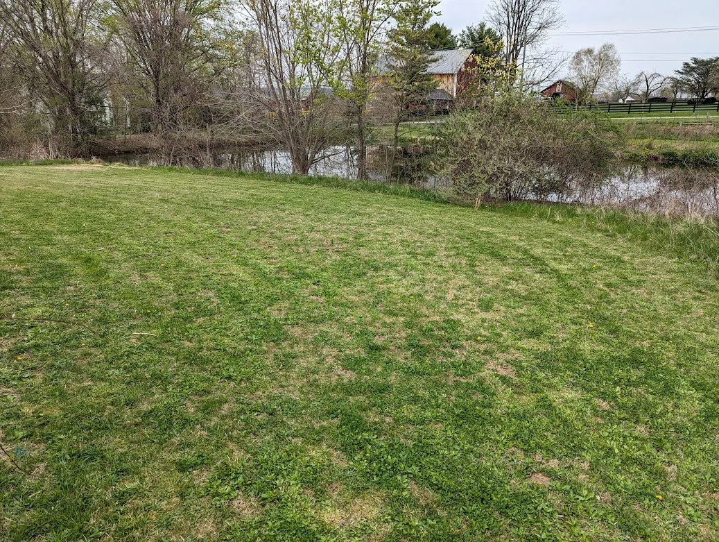 Dog Playground — Sunny Knoll EcoFarm