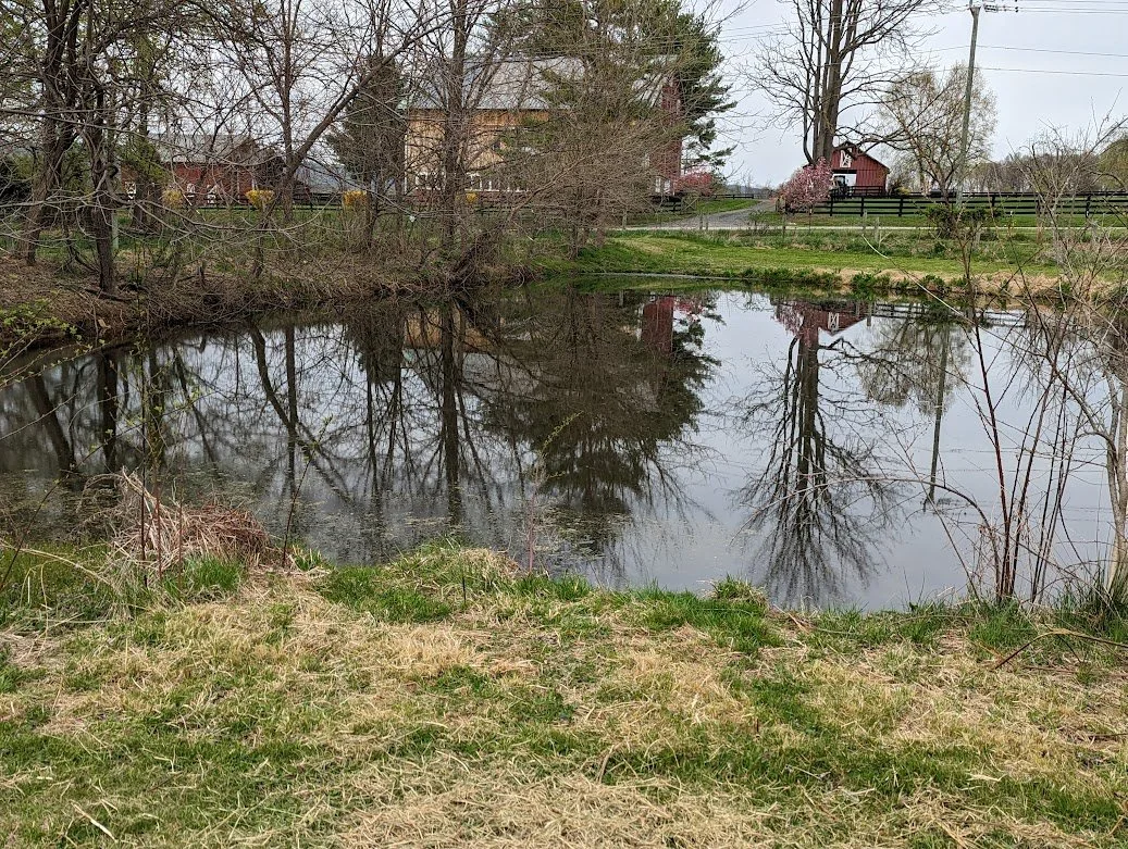 Dog Playground — Sunny Knoll EcoFarm