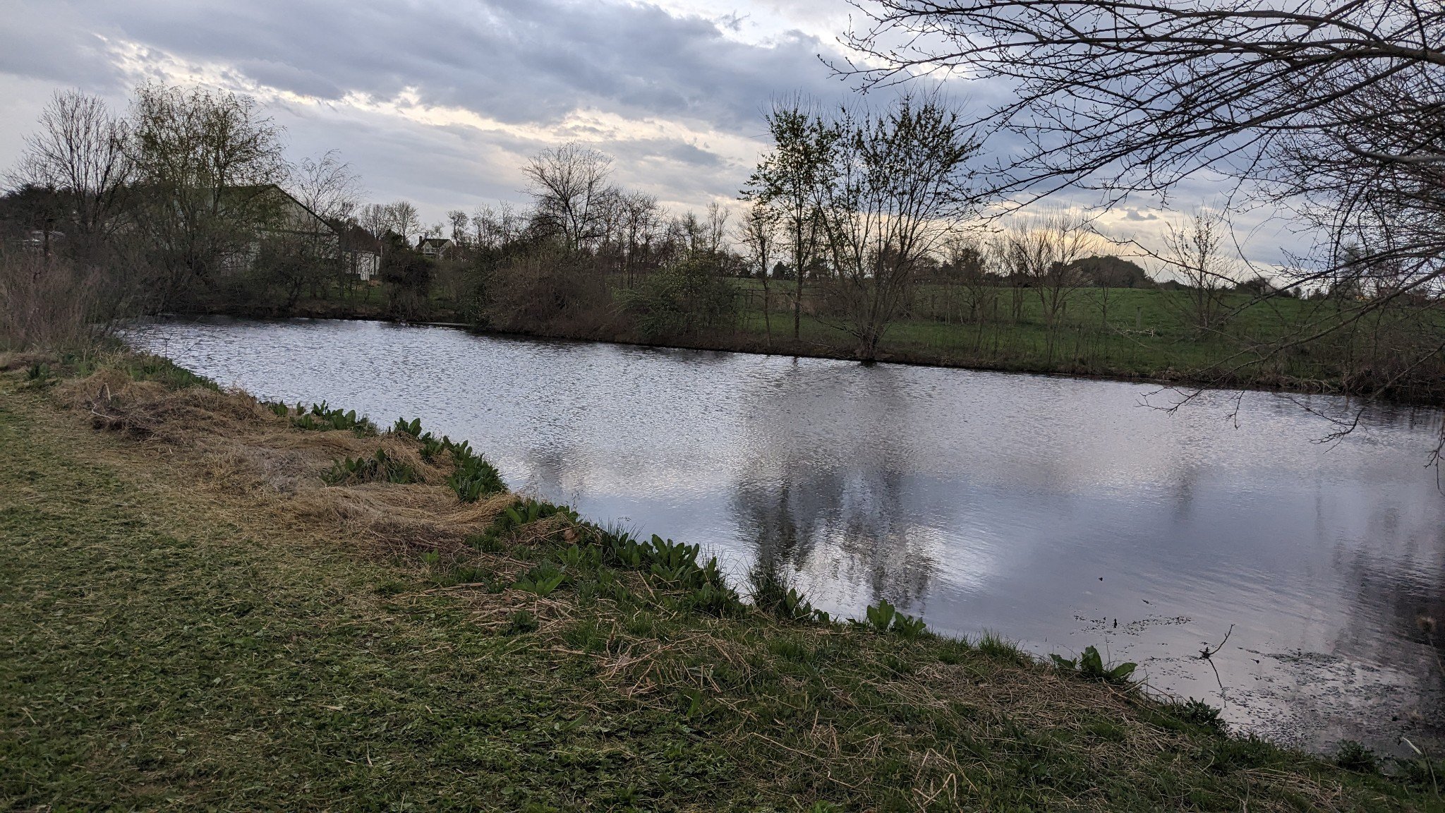 Dog Playground — Sunny Knoll EcoFarm